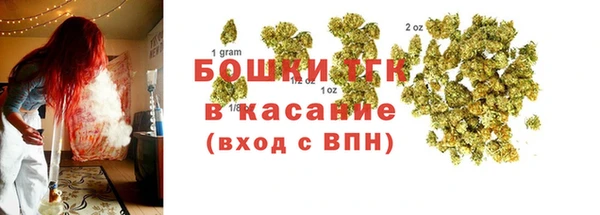 ECSTASY Алзамай