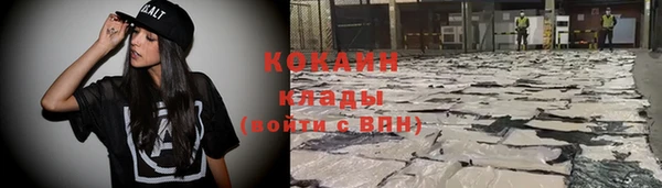 ECSTASY Алзамай