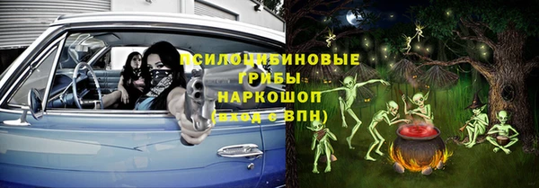 ECSTASY Алзамай